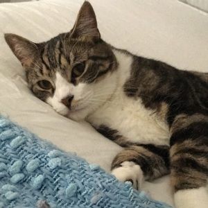 Meet your Posher, Victoria